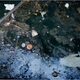 Illustration for article titled 10 Weirdest Urban Ecosystems On Earth